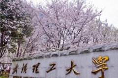 廣東MBA考研調(diào)劑武漢理工大學(xué)有什么條件？