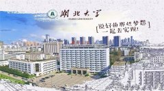 深圳MPA調(diào)劑：2021湖北大學(xué)MPA預(yù)調(diào)劑信息