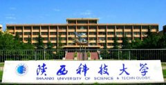 2021年陜西科技大學(xué)MBA調(diào)劑開網(wǎng)時(shí)間